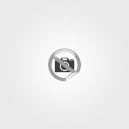 Guide Moodle  